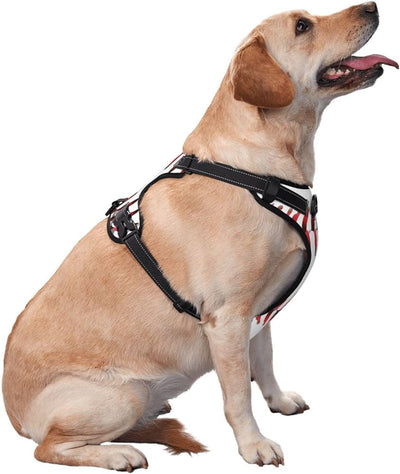 ALURA™  -  PERSONALIZED NO PULL DOG HARNESS