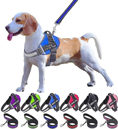 ALURA™  -  PERSONALIZED NO PULL DOG HARNESS