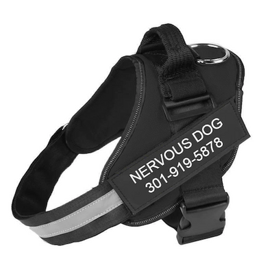 ALURA™  -  PERSONALIZED NO PULL DOG HARNESS