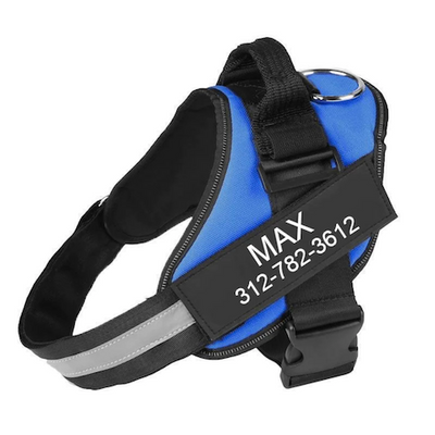 ALURA™  -  PERSONALIZED NO PULL DOG HARNESS