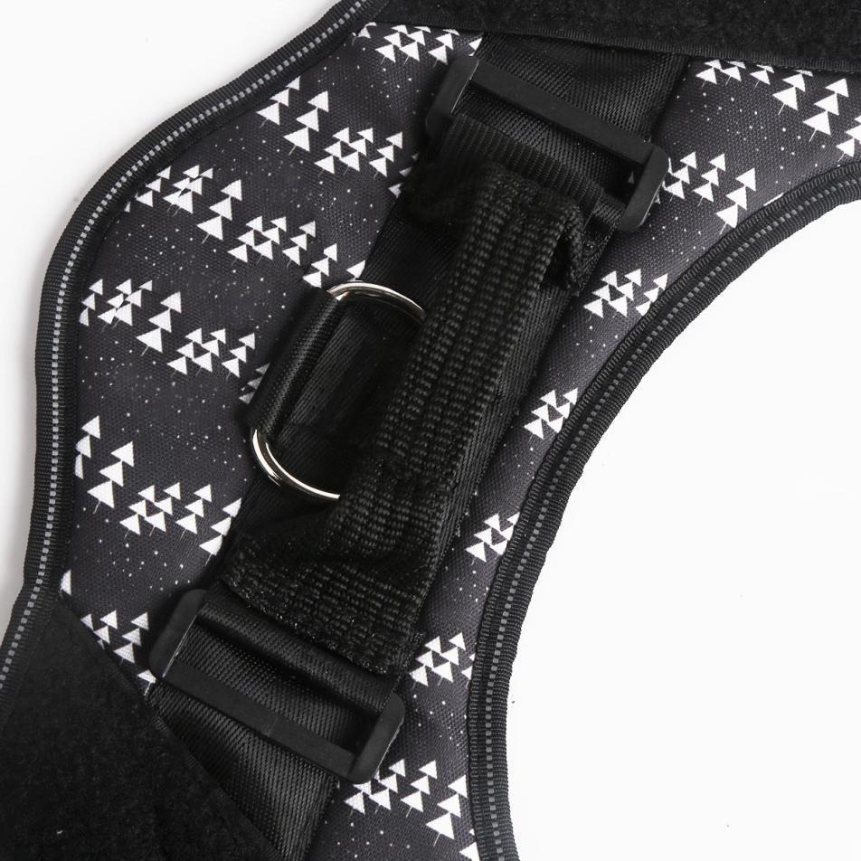 ALURA™  -  PERSONALIZED NO PULL DOG HARNESS